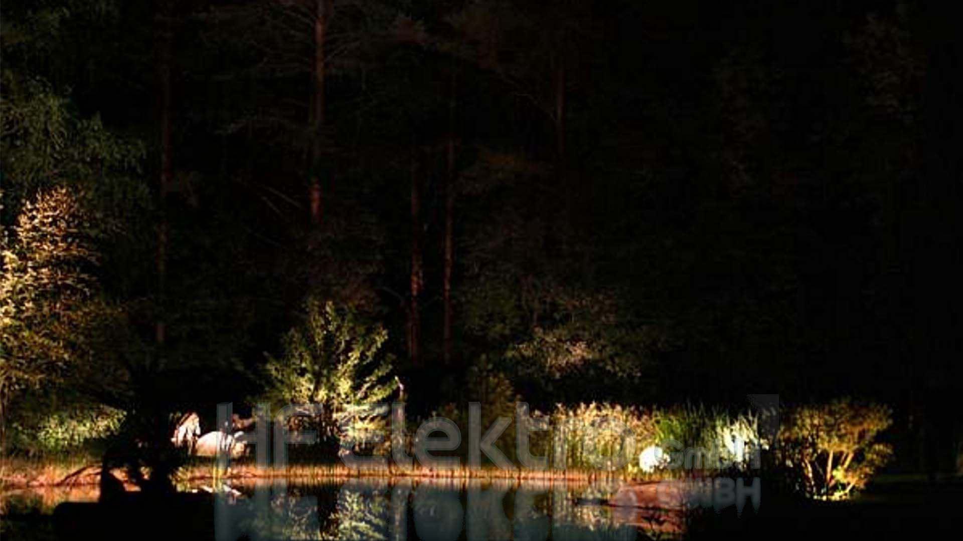 Lichtinstallation Garten